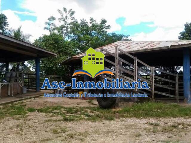 Granja Finca para Venta en Florencia - 2