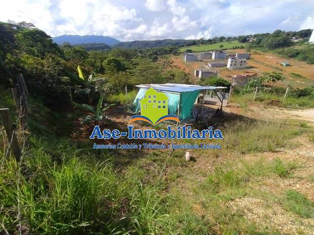 #452 - Área para Venta en Florencia - CAQ - 3