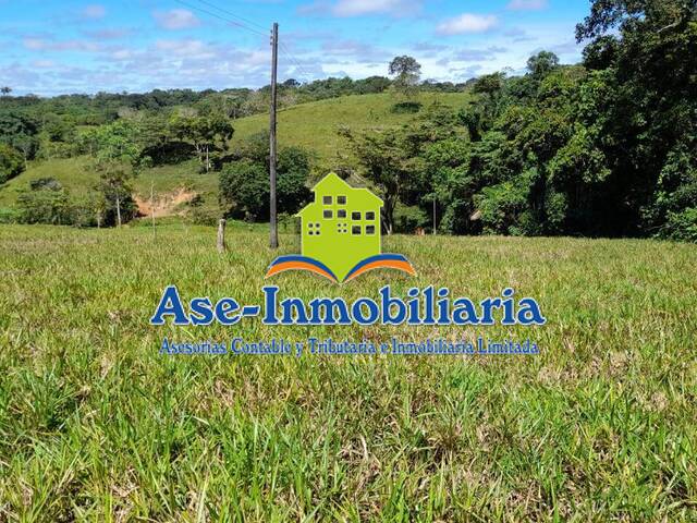 Área para Venta en Florencia - 4