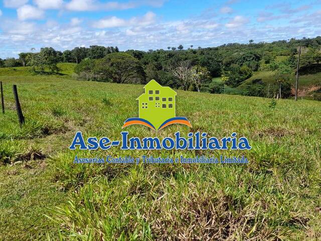 #545 - Área para Venta en Florencia - CAQ - 3