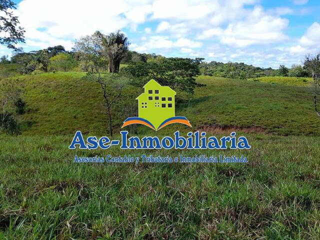 Área para Venta en Florencia - 5