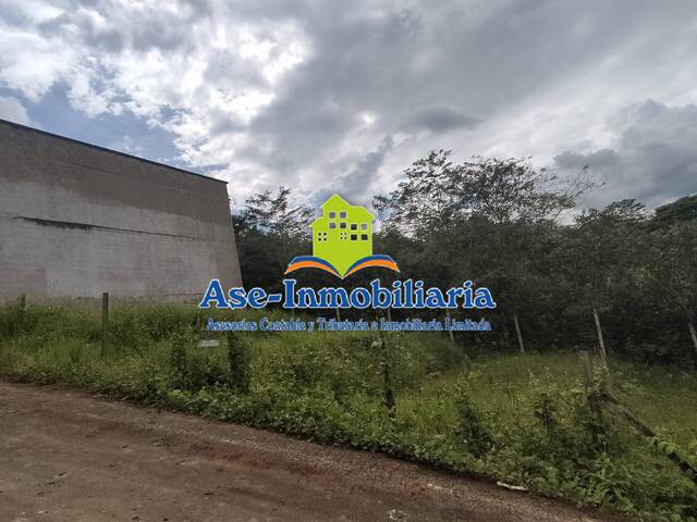 Área para Venta en Florencia - 4