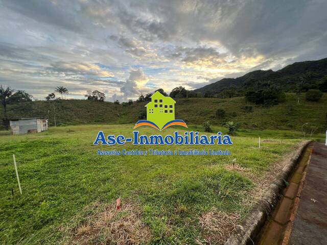 Área para Venta en Florencia - 2