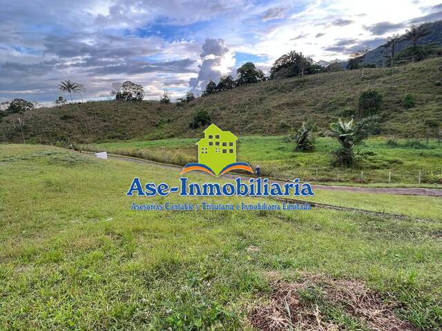 Área para Venta en Florencia - 3
