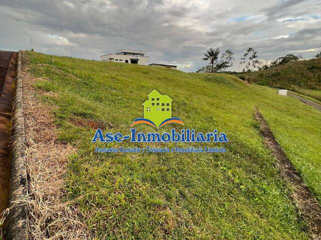 Área para Venta en Florencia - 4