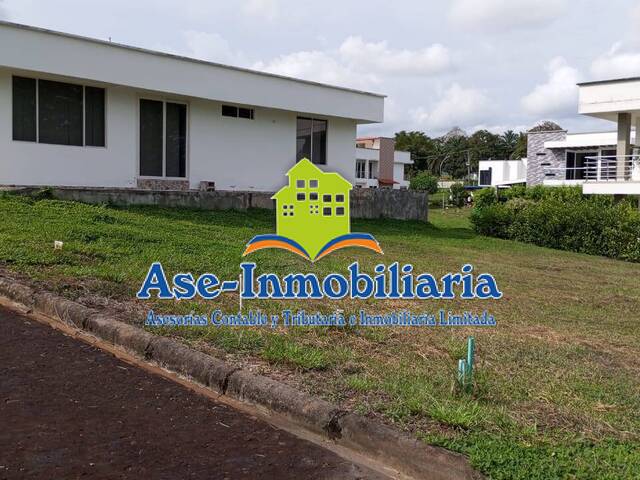 Área para Venta en Florencia - 4