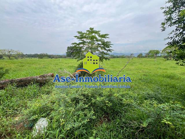 Área para Venta en Florencia - 4