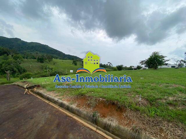 Área para Venta en Florencia - 4