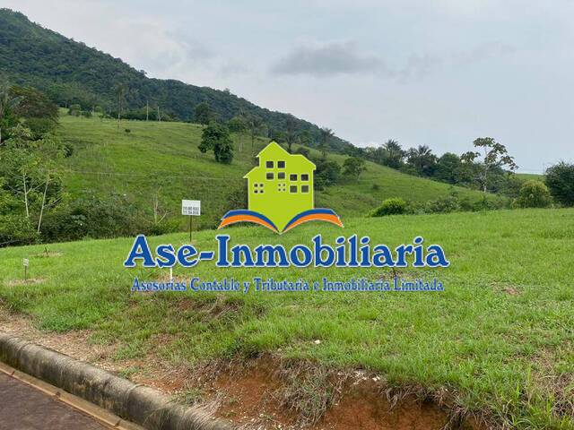 Área para Venta en Florencia - 5