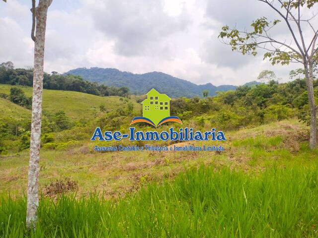 Área para Venta en Florencia - 5