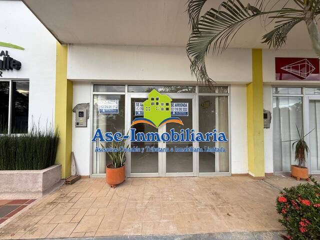 Alquiler en Conjunto Colinas del Valle - Florencia