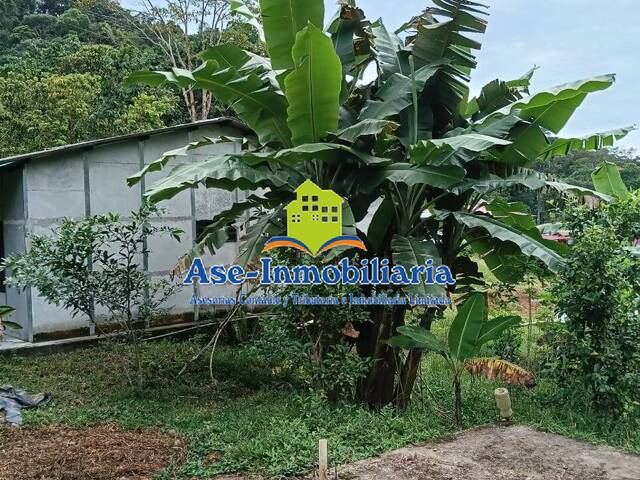 #991 - Quinta para Venta en Florencia - CAQ - 3