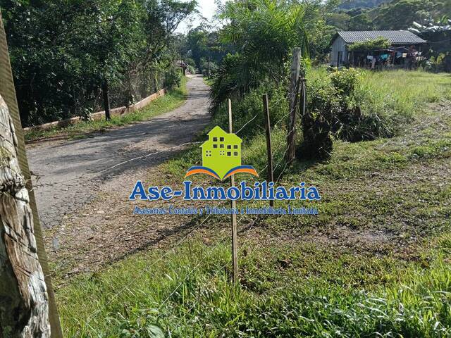 #991 - Quinta para Venta en Florencia - CAQ - 2